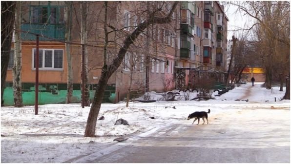 Прошла оперативно-профилактическая отработка «Быт»
