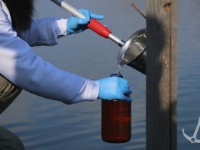 Отбираются пробы воды створов рек Лугань и Садки, воды из подземных источников