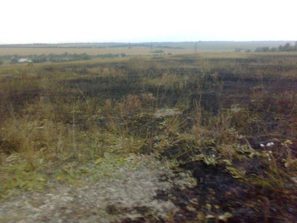 Фото сухой травы и стерни от 08.08.2012г с. Озеряновка, в Широеой балке (1)